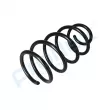 Ressort de suspension PROFLEX PX1-0771 - Visuel 3