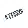 Ressort de suspension PROFLEX PX1-0795 - Visuel 3