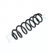 Ressort de suspension PROFLEX PX1-0798 - Visuel 3