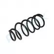 Ressort de suspension PROFLEX PX1-0816 - Visuel 3