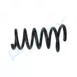 Ressort de suspension PROFLEX PX1-0829 - Visuel 2