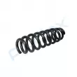 Ressort de suspension PROFLEX PX1-0859 - Visuel 3