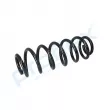 Ressort de suspension PROFLEX PX1-0876 - Visuel 2