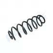 Ressort de suspension PROFLEX PX1-0884 - Visuel 3