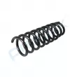 Ressort de suspension PROFLEX PX1-0887 - Visuel 3