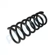 Ressort de suspension PROFLEX PX1-0901 - Visuel 3