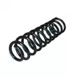 Ressort de suspension PROFLEX PX1-0915 - Visuel 3