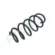 Ressort de suspension PROFLEX PX1-0975 - Visuel 3