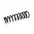 Ressort de suspension PROFLEX PX1-0991 - Visuel 3