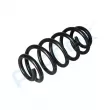 Ressort de suspension PROFLEX PX1-0992 - Visuel 3