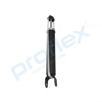 Jeu de 2 amortisseurs arrière PROFLEX