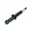 Jeu de 2 amortisseurs arrière PROFLEX PX5-BA620 - Visuel 3