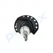 Amortisseur arrière gauche PROFLEX PX5-BC351 - Visuel 2
