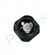 Amortisseur arrière droit PROFLEX PX5-BC925 - Visuel 2