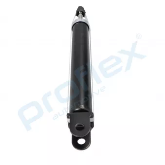 Jeu de 2 amortisseurs arrière PROFLEX PX5-BI879