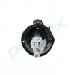 Amortisseur avant droit PROFLEX PX5-FC020 - Visuel 2