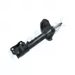 Amortisseur avant droit PROFLEX PX5-FC095 - Visuel 3