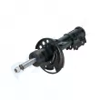 Amortisseur avant droit PROFLEX PX5-FC147 - Visuel 3