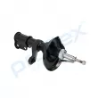 Amortisseur avant droit PROFLEX PX5-FC172 - Visuel 3
