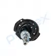 Jeu de 2 amortisseurs avant PROFLEX PX5-FC225 - Visuel 2