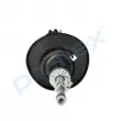 Amortisseur avant gauche PROFLEX PX5-FC246 - Visuel 2