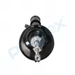 Amortisseur avant droit PROFLEX PX5-FC247 - Visuel 2