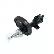 Amortisseur avant droit PROFLEX PX5-FC297 - Visuel 3
