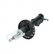 Amortisseur avant droit PROFLEX PX5-FC303 - Visuel 2