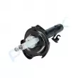 Amortisseur avant droit PROFLEX PX5-FC555 - Visuel 2