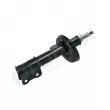 Amortisseur avant gauche PROFLEX PX5-FC570 - Visuel 2
