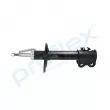 Amortisseur avant droit PROFLEX PX5-FC690 - Visuel 3