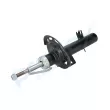 Amortisseur avant gauche PROFLEX PX5-FC714 - Visuel 2