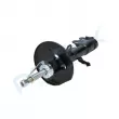 Amortisseur avant droit PROFLEX PX5-FC722 - Visuel 2