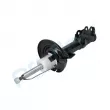 Amortisseur avant droit PROFLEX PX5-FC844 - Visuel 2
