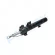Amortisseur avant droit PROFLEX PX5-FC905 - Visuel 2