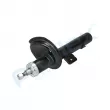 Amortisseur avant gauche PROFLEX PX6-FC105 - Visuel 3