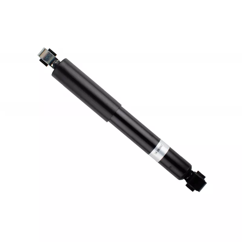 Jeu de 2 amortisseurs arrière BILSTEIN 19-282862