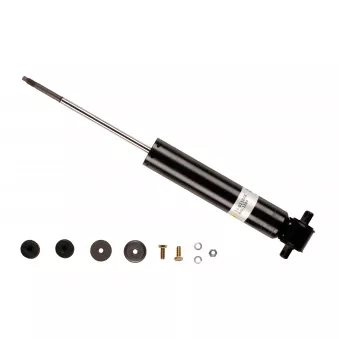 Jeu de 2 amortisseurs arrière BILSTEIN 24-011846
