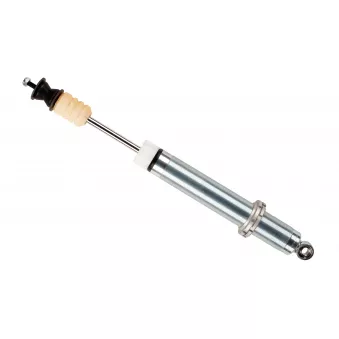 Jeu de 2 amortisseurs arrière BILSTEIN 24-595452