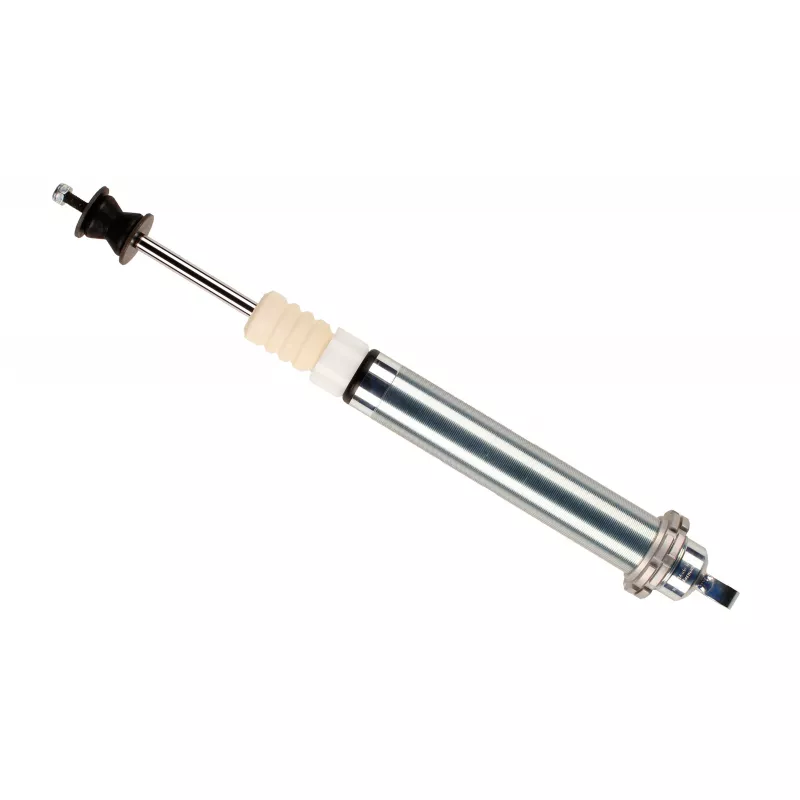 Jeu de 2 amortisseurs arrière BILSTEIN 24-617321