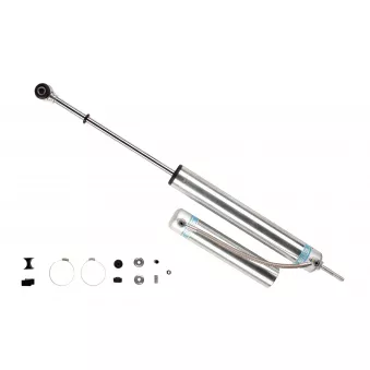 Jeu de 2 amortisseurs avant BILSTEIN 25-187632