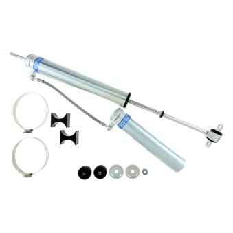 Jeu de 2 amortisseurs avant BILSTEIN 25-187670