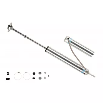 Jeu de 2 amortisseurs avant BILSTEIN 25-187809