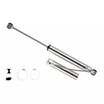 Jeu de 2 amortisseurs arrière BILSTEIN 25-196481