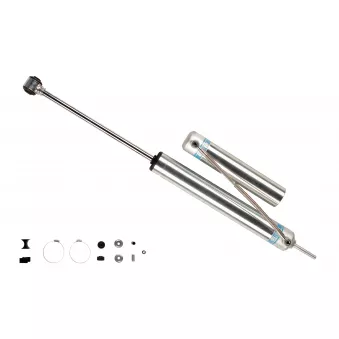 Jeu de 2 amortisseurs avant BILSTEIN 25-229738