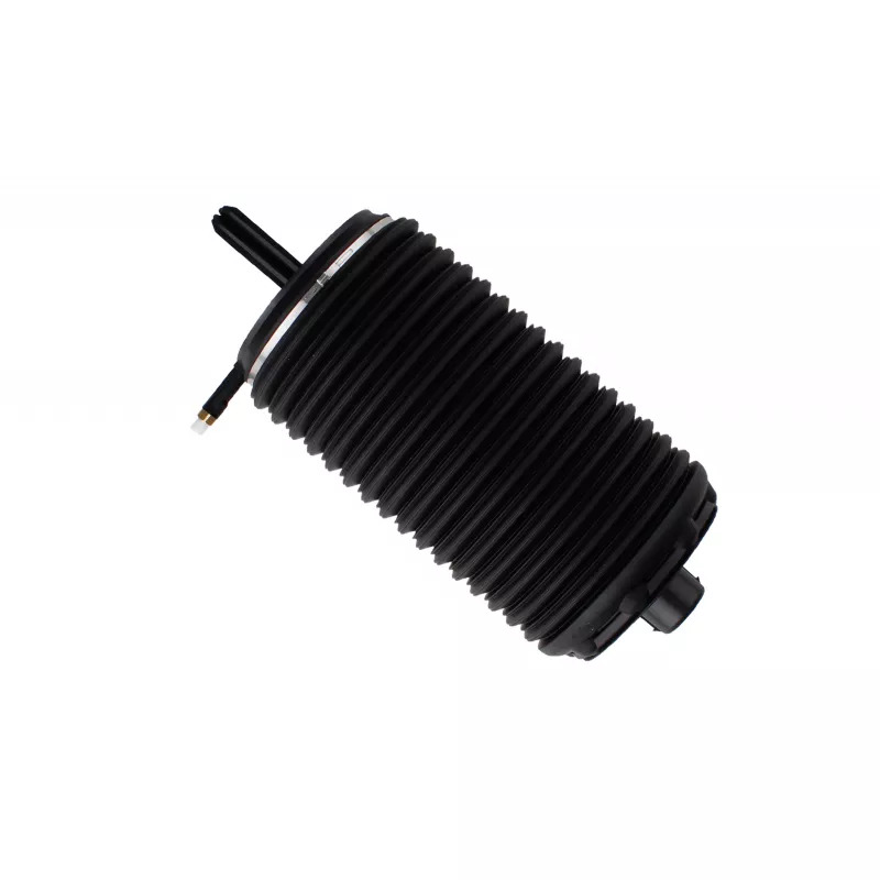 Ressort pneumatique, châssis arrière gauche BILSTEIN 40-249841