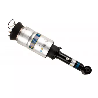 Vérin BILSTEIN 44-232726
