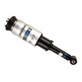Vérin BILSTEIN 45-218644