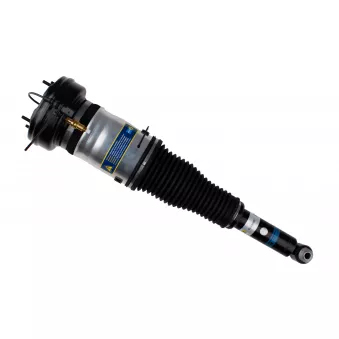 Vérin BILSTEIN 45-248580