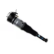 Vérin BILSTEIN 45-248580 - Visuel 2
